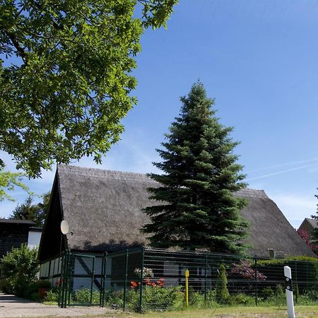 Welcoming Holiday Home In Gegensee Near Szczecin Lagoon Ahlbeck  Exterior foto